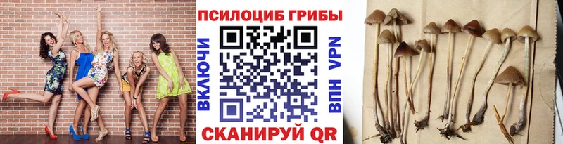 дарнет шоп  Балей  Псилоцибиновые грибы мухоморы 