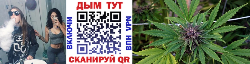 Бошки Шишки конопля  Балей 